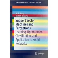 Support Vector Machines and Perceptrons