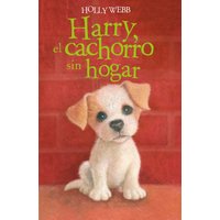 Harry, el cachorro sin hogar
