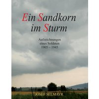 Ein Sandkorn im Sturm