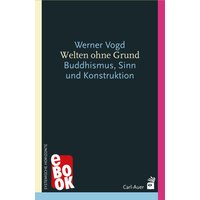 Welten ohne Grund