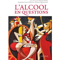 L'alcool en questions