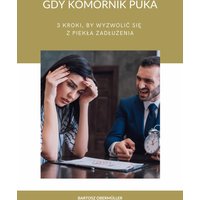 Gdy komornik puka - 3 kroki, by wyzwolić się z piekła zadłużenia
