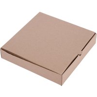 Fiesta Compostable Plain Pizza Boxes 9" (Pack of 100)