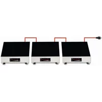 Berner BI2W Induction Buffet Warmer