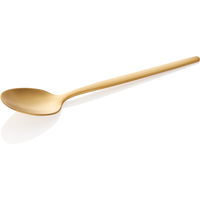 Alex Gold Espresso Spoon Set, Gold Matt PVD Coating, Pack of 12