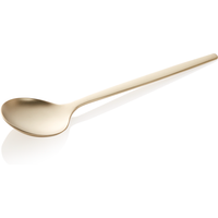 Alex Soup Spoon Champagne Chrome Nickel Steel Pack of 12