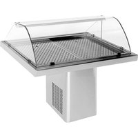 Combisteel Refrigerated Fish Display 1.4 - Temperature -5 °C