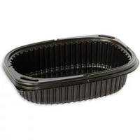 Hot Food Container 600ml X 480