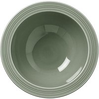 Steelite Concorde Oatmeal Bowls Fern 165mm (12 Pack)