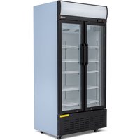 BLIZZARD 630L Double Hinged Glass Door Display Merchandiser GD630