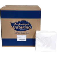 Professional Catering White Napkin 2ply 1/4 Fold 40x40cm