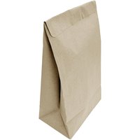 Fiesta Recyclable Sealable Takeaway Bags Medium (250 Pack)