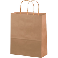 Twist Handle Bag Small 13"x4"x12"