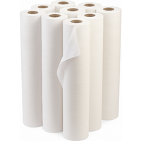 20" Softguard 2ply Hygiene Couch Roll 500mm x 40m (9 Rolls)