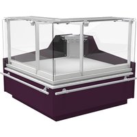 Infrico VEX90AAICP Supermarket Cases – Experience Refrigerated Self Service Remote Case