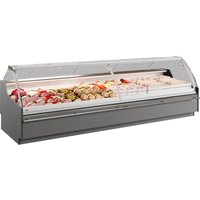 Infrico VEX12IU Supermarket Cases – Experience Display Case Plug In