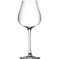 Crown Glassware Tigris White Wine Glasses 510ml (6 Pack)