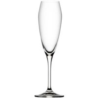 Utopia Bravissimo Champagne Flutes 240ml (Pack 6)