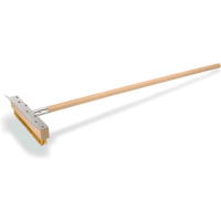 Cleaning brush with scraper