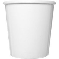 16oz Spiritpak PE Soup Container (20x25)