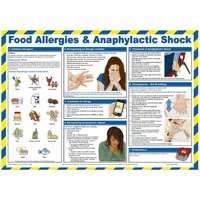 Mileta Food Allergies & Anaphylactic Shock Poster 590x420mm