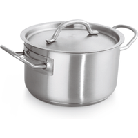 Stewpot with lid