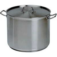 Forje WSS20 Stock Pot