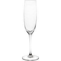 Olympia Novello Crystal Champagne Flutes 180ml (6 pack)