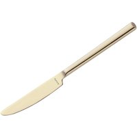 Amefa Metropole Champagne Table Knife (12 Pack)
