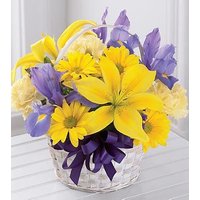 Spirit of Spring Basket