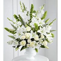 Morning Stars Arrangement
