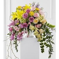 Display of Affection Arrangement