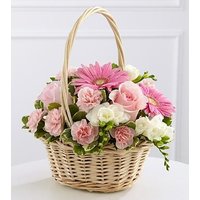 Enduring Peace Basket