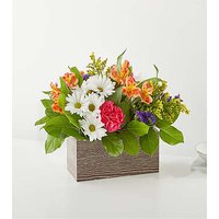 Oopsie Daisy Box Bouquet
