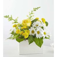 Sun Salutation Box Bouquet