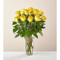 Long Stem Yellow Rose Bouquet