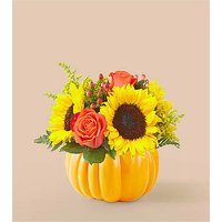 Pick of the Patch Pumpkin Bouquet