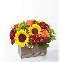 Happy Harvest Garden