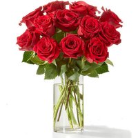 One Dozen Red Rose Bouquet - 12 Roses with Glass Vase - FedEx