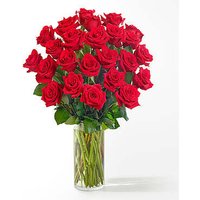 Two Dozen Red Roses - FedEx