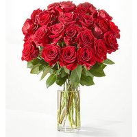 Red Rose Bouquet - 24 Roses with Glass Vase - FedEx