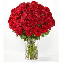 Three Dozen Long Stem Red Roses - FedEx