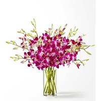 Positively Purple Orchid Bouquet - FedEx