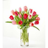 Crushing on You Tulip Bouquet - Standard with Clear Vase - FedEx