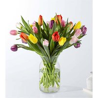 Picnic Tulips - 30 Tulips with Vase - FedEx