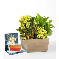 Sunshine and Joy Garden and Birthday Pop Up Card - FedEx