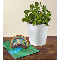 Jade Succulent and Rainbow Bridge Lovepop Pop - Up Card - FedEx