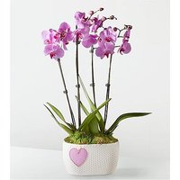 Pink Orchid Garden with Mom Heart Keepsake - FedEx