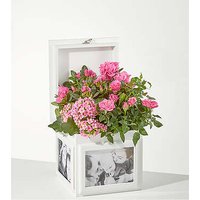 Blush Garden Keepsake Box - FedEx