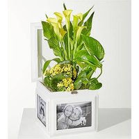 Sunshine Garden Keepsake Box - FedEx
